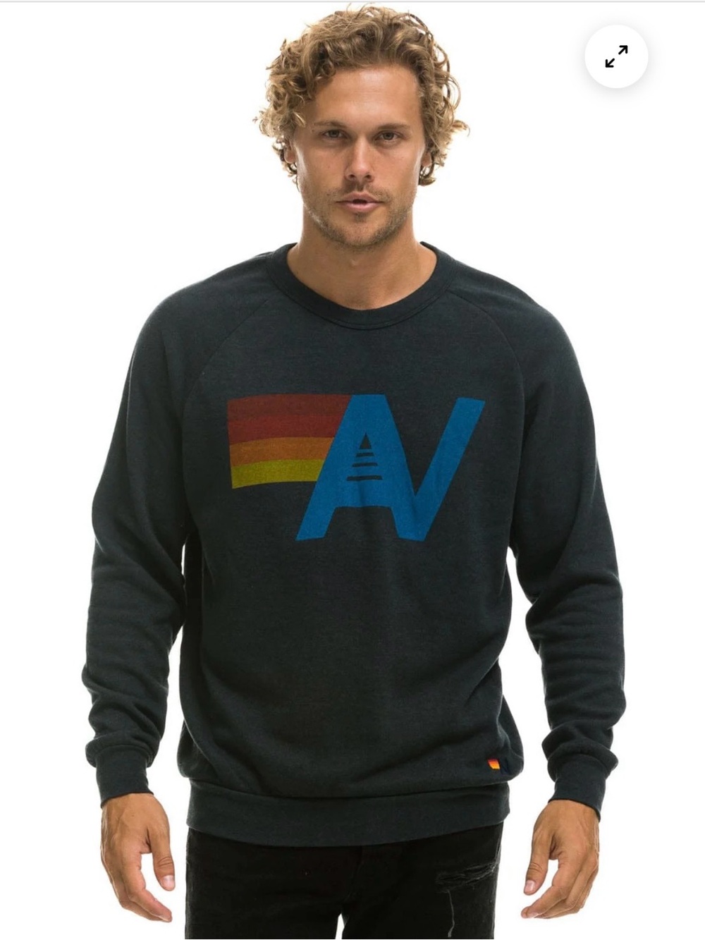 Aviator Nation/Charcoal Gray/Unisex XXL/Logo Crew Sweatshirt! NIB! SEALED! - Picture 2 of 16